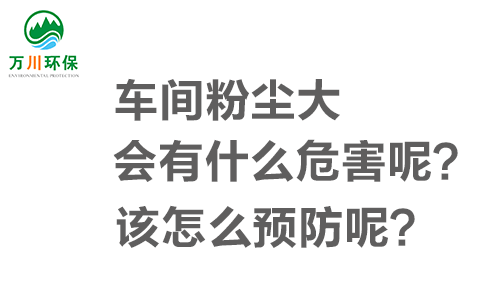 車間粉塵大會(huì)有什么危害呢？該怎么預(yù)防呢？